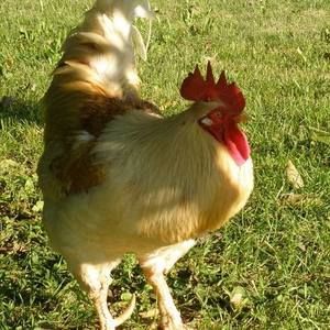 Meet your Posher, Mary